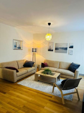Appartement spacieux en centre ville